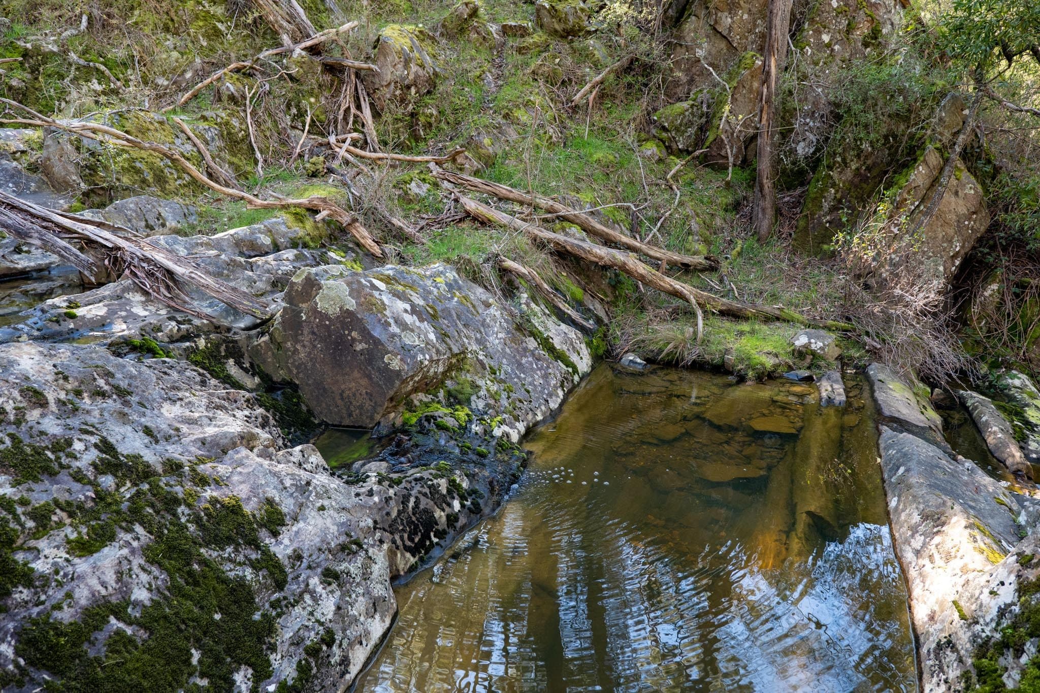 Creek running through the bushland