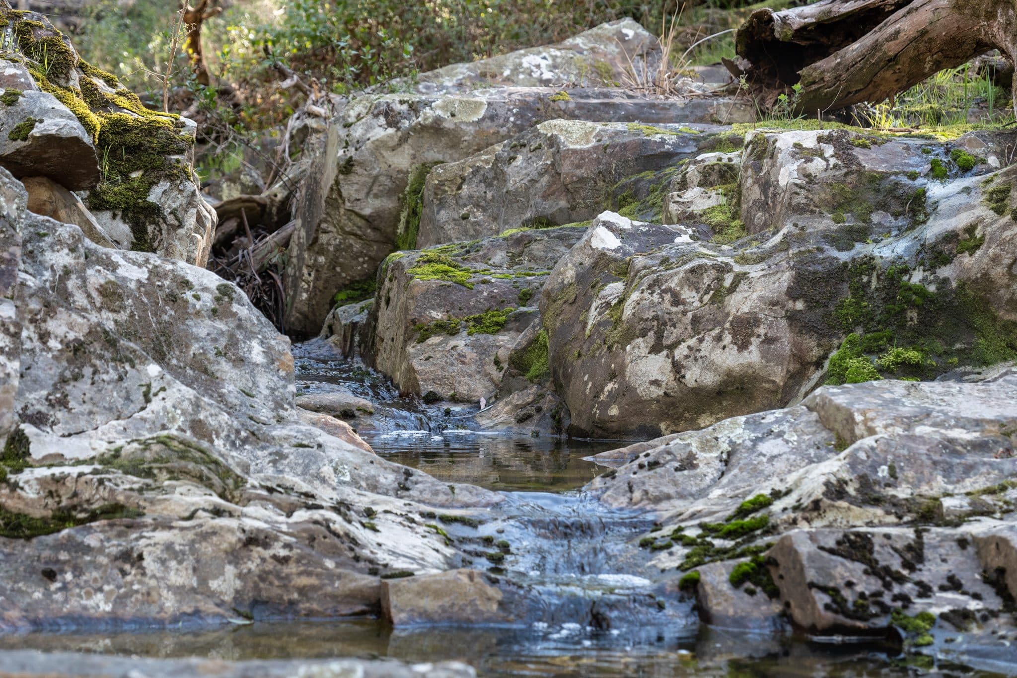 Mineral spring rocks and pool near the property
